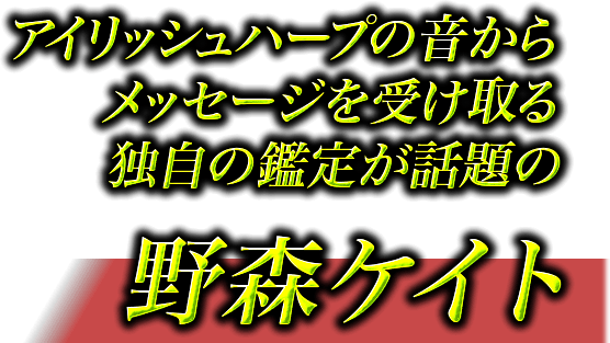 アイリッシュハープの音からメッセージを受け取る独自の鑑定が話題の野森ケイト